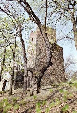 Věž Cibulka